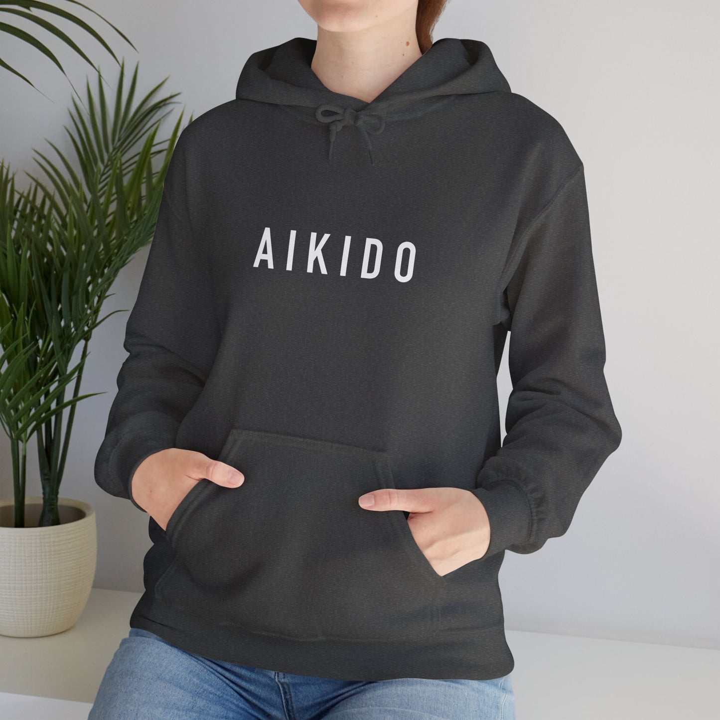 ❄️ 2025 Winter Seminar Aikido Unisex Hoodie (Limited Edition)