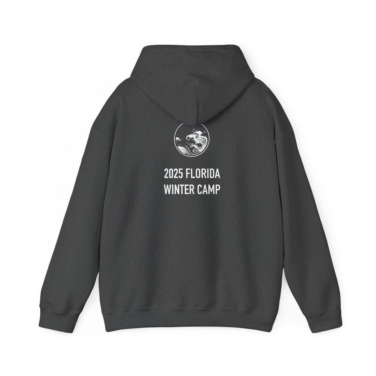 ❄️ 2025 Winter Seminar Aikido Unisex Hoodie (Limited Edition)
