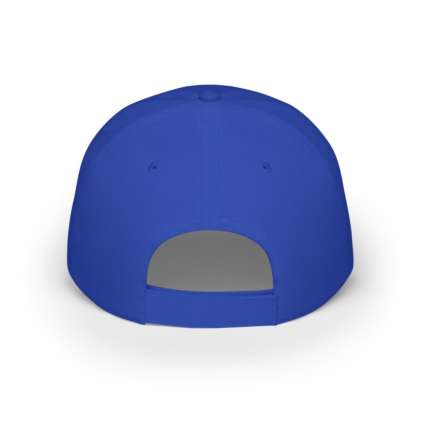 2024 Aikido Florida Winter Camp Baseball Cap (Limited Edition)