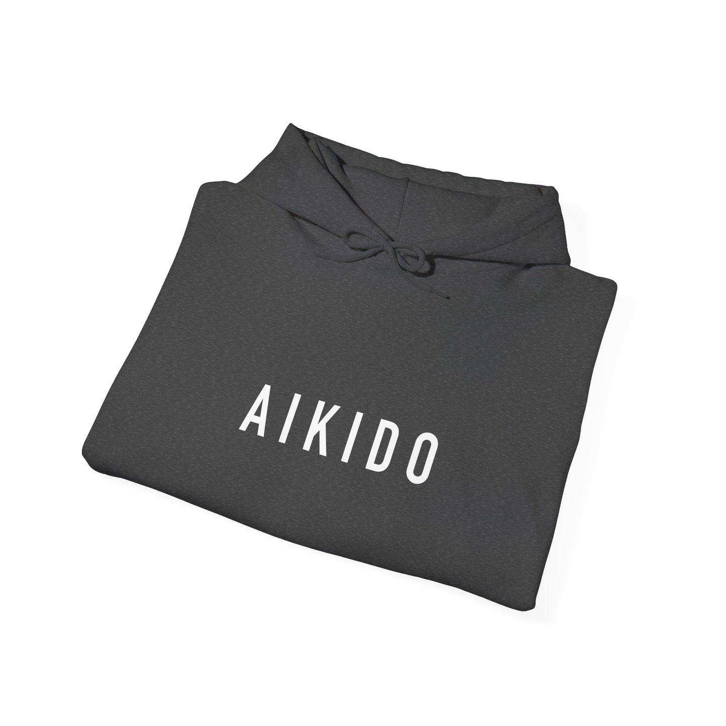 ❄️ 2025 Winter Seminar Aikido Unisex Hoodie (Limited Edition)