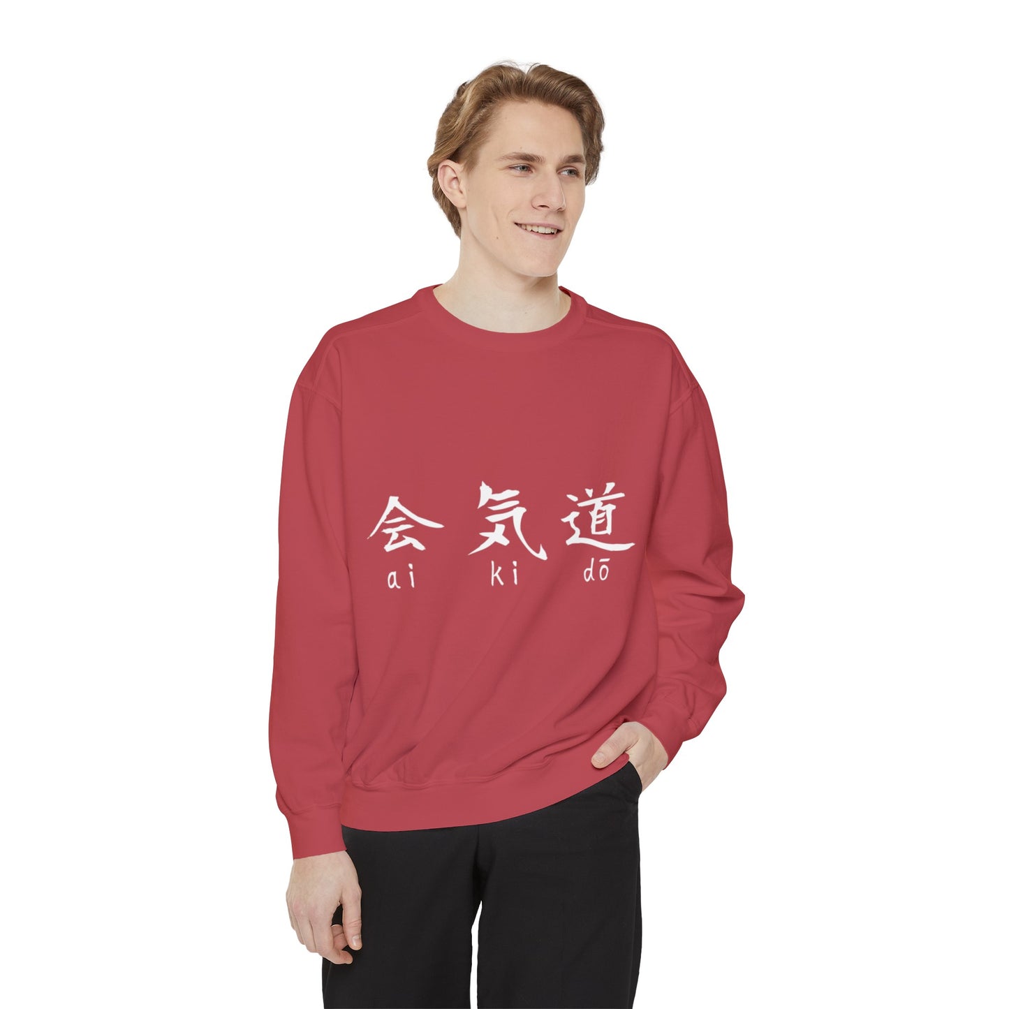 Aikido Kanjis Unisex Garment-Dyed Sweatshirt